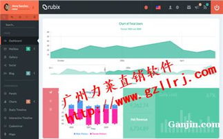 数字直销时代 实体公司直销软件开发与信息技术服务创新